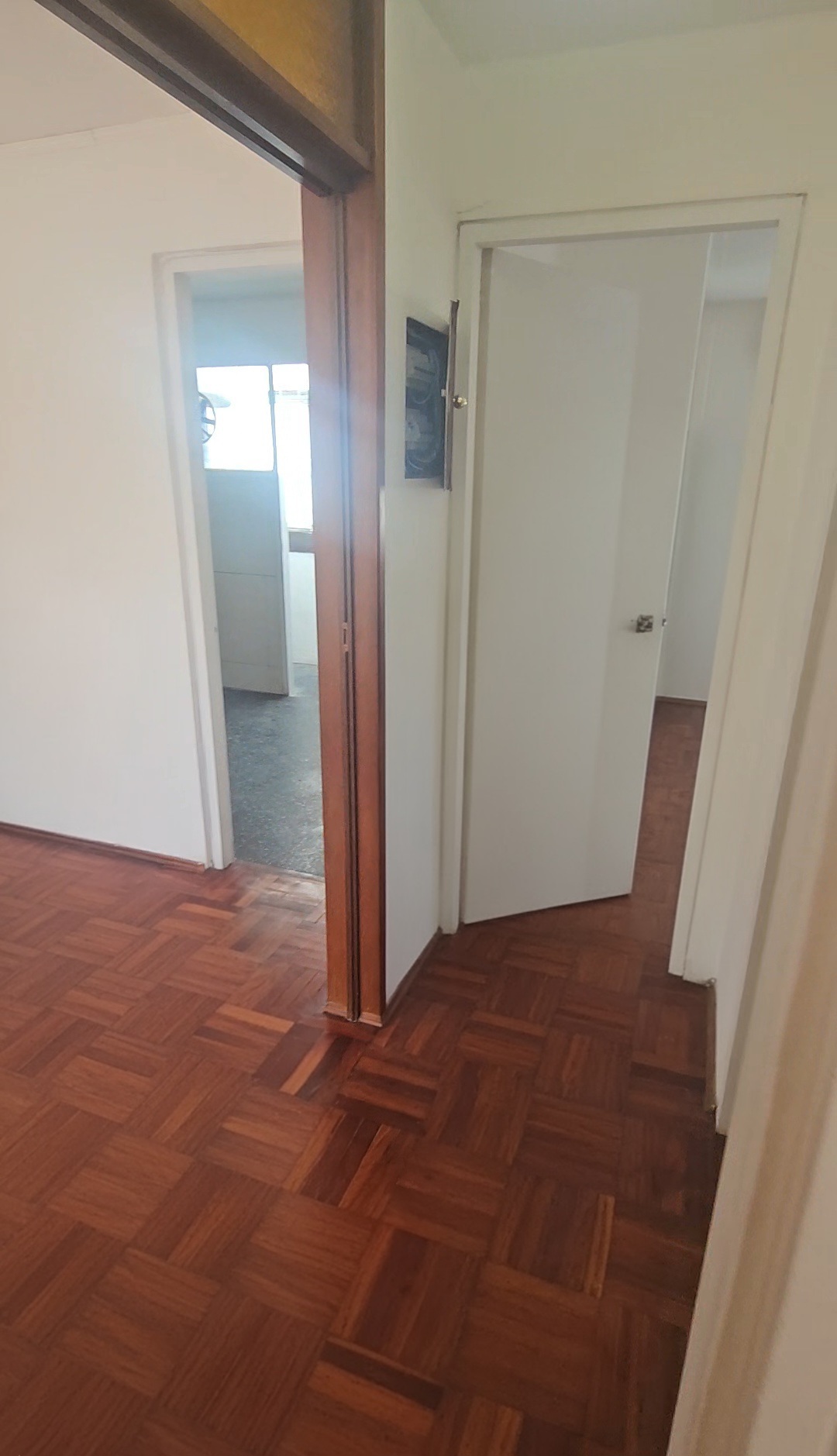 foto 24